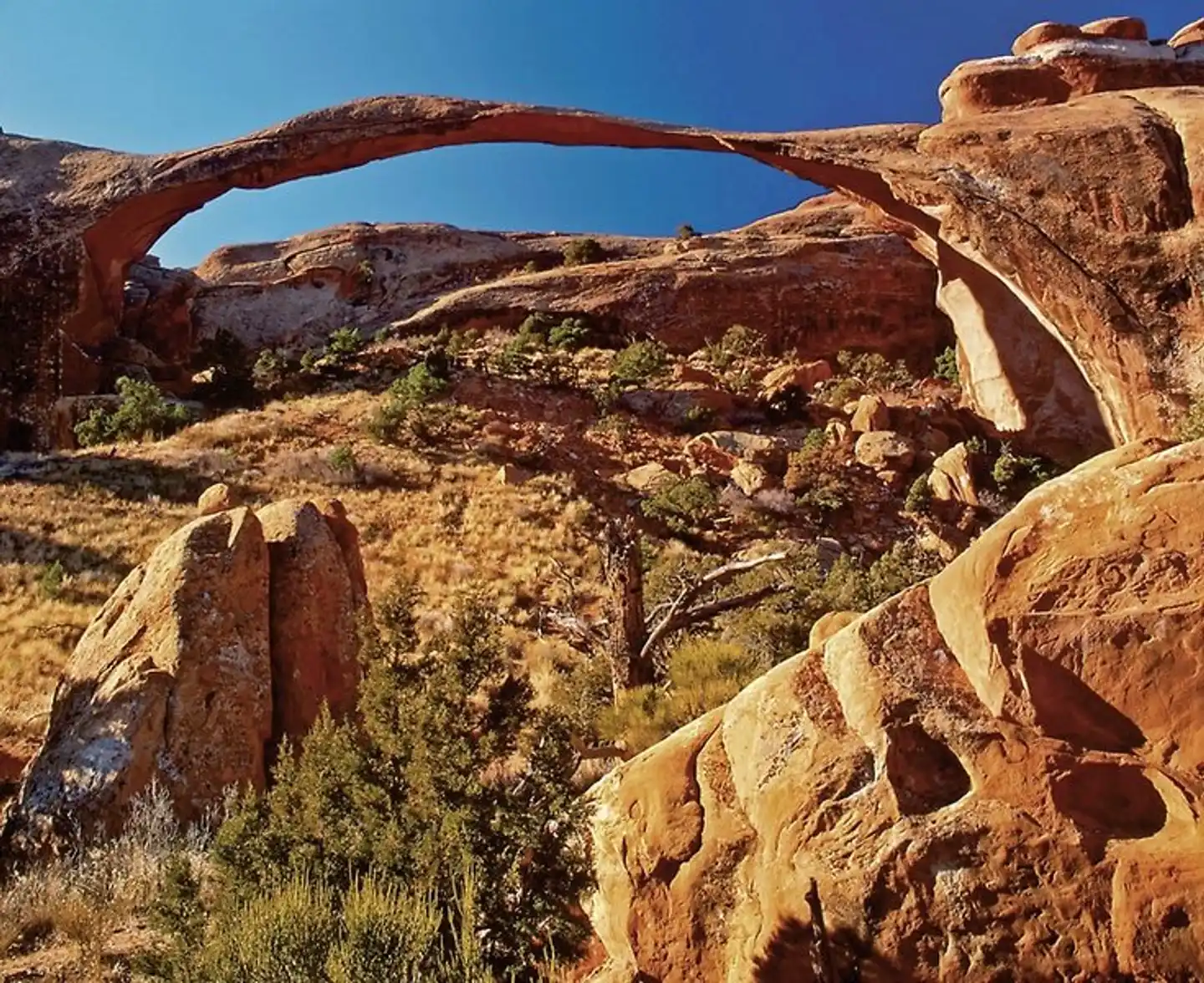 Las Vegas & die Nationalparks Landschaft