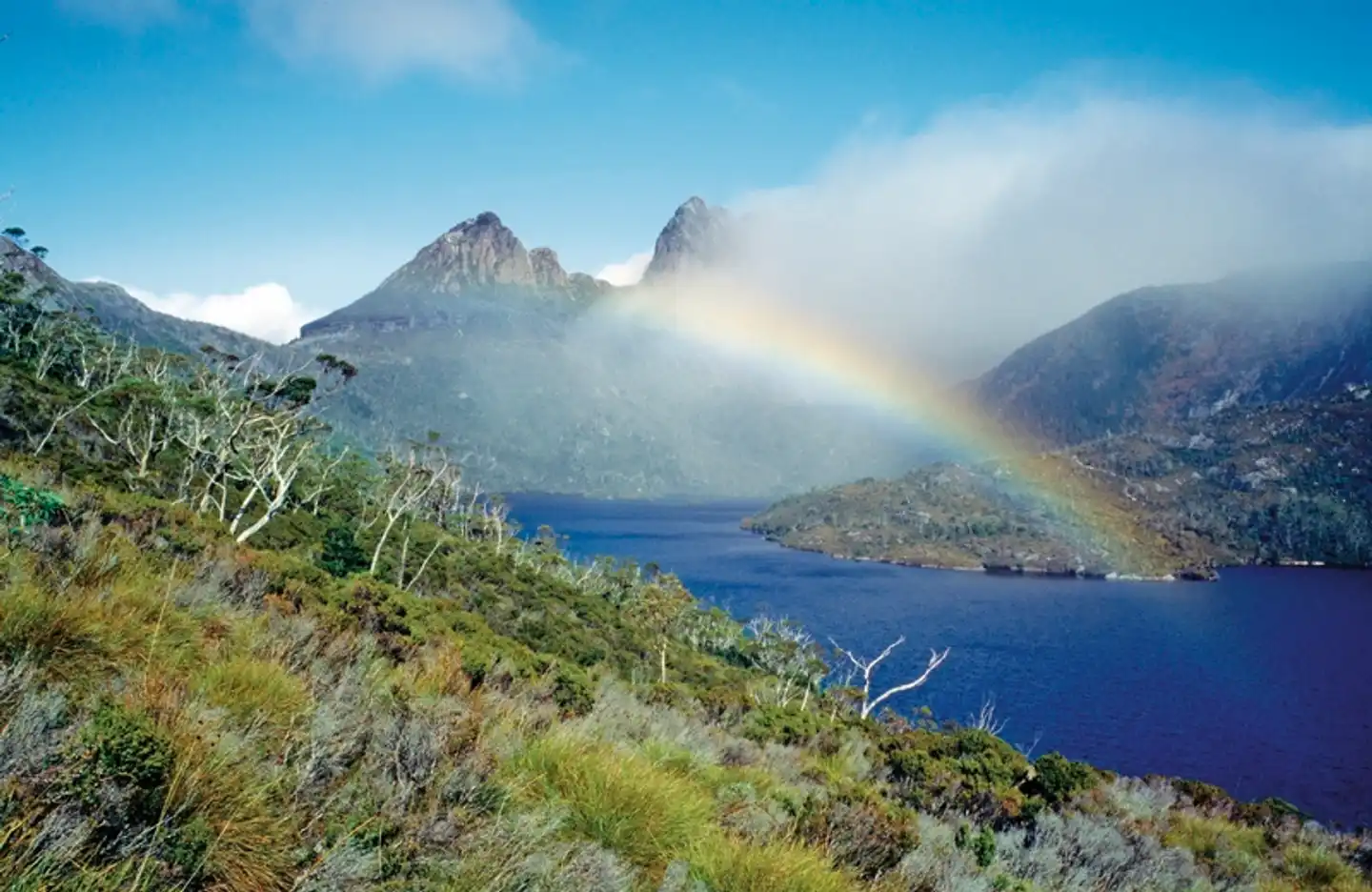 Tasmaniens Zauber auf 4 Rädern Landschaft