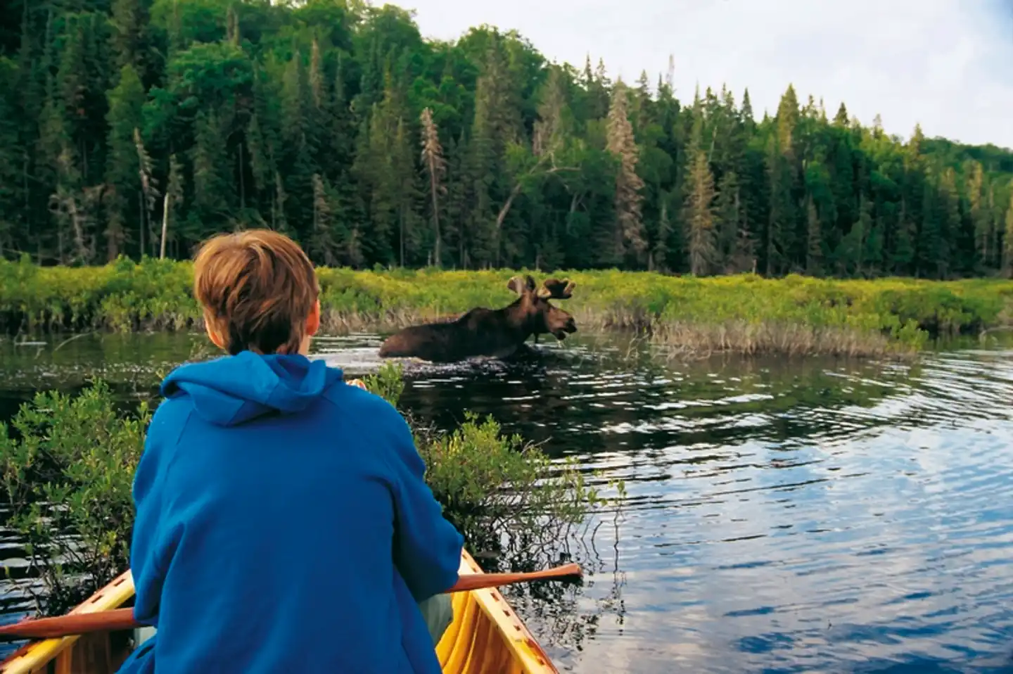 Algonquin en canoë - Lodge Personen