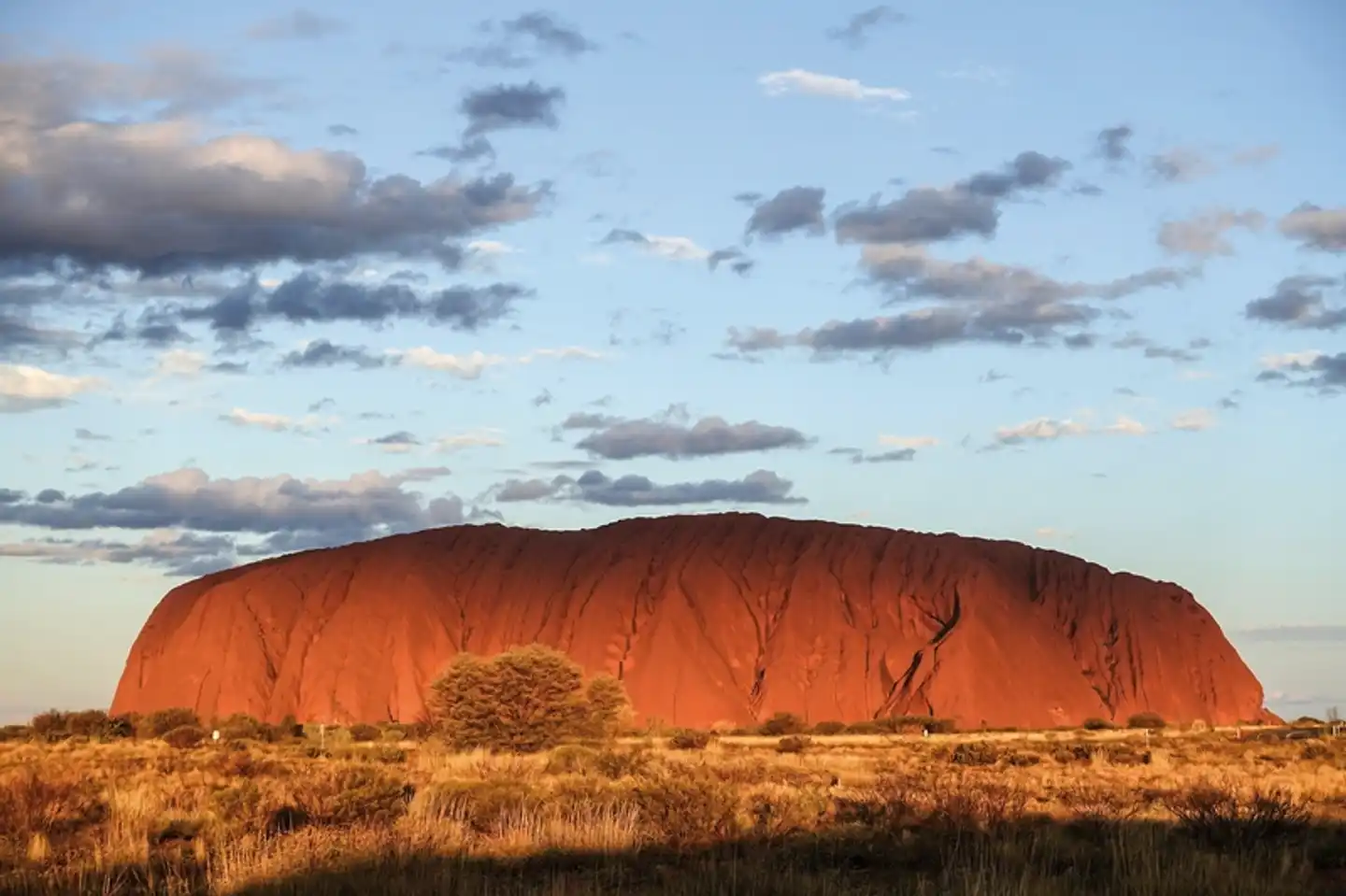 Vielfalt Australiens Tiere