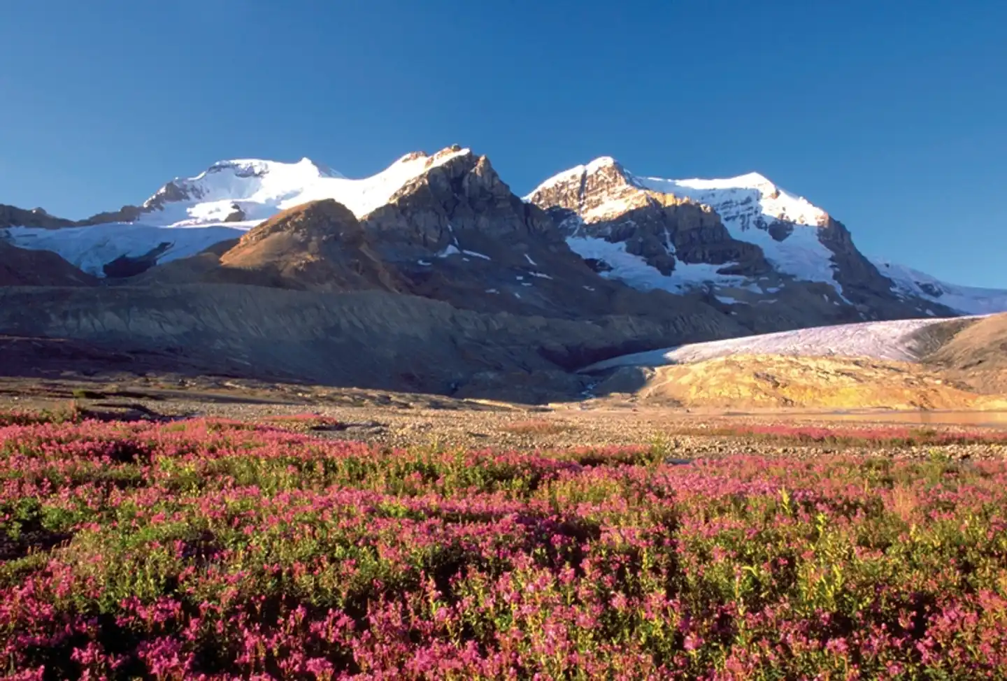 Von den Rockies nach Vancouver Landschaft