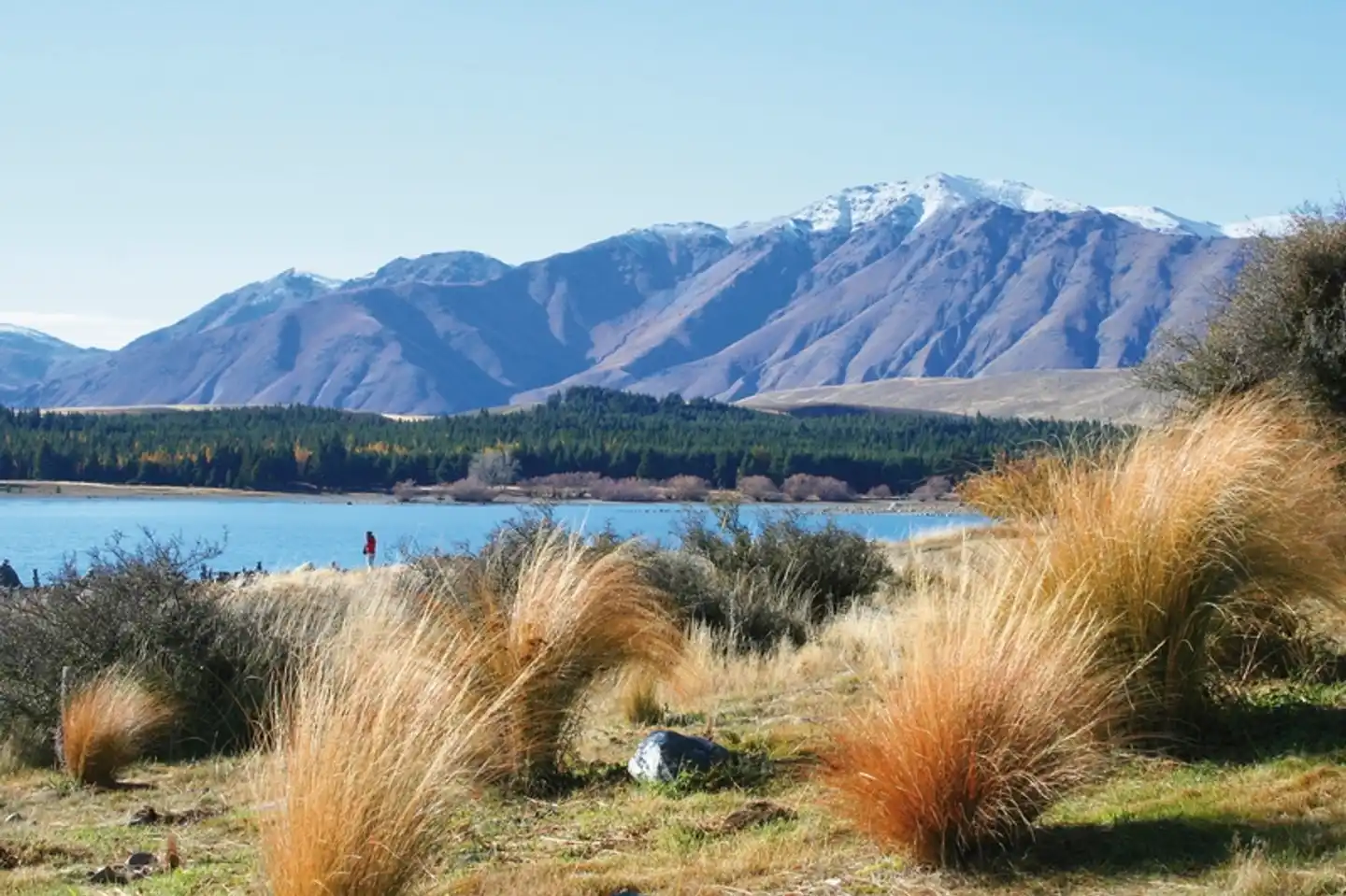 Klassische Neuseeland Rundreise Landschaft