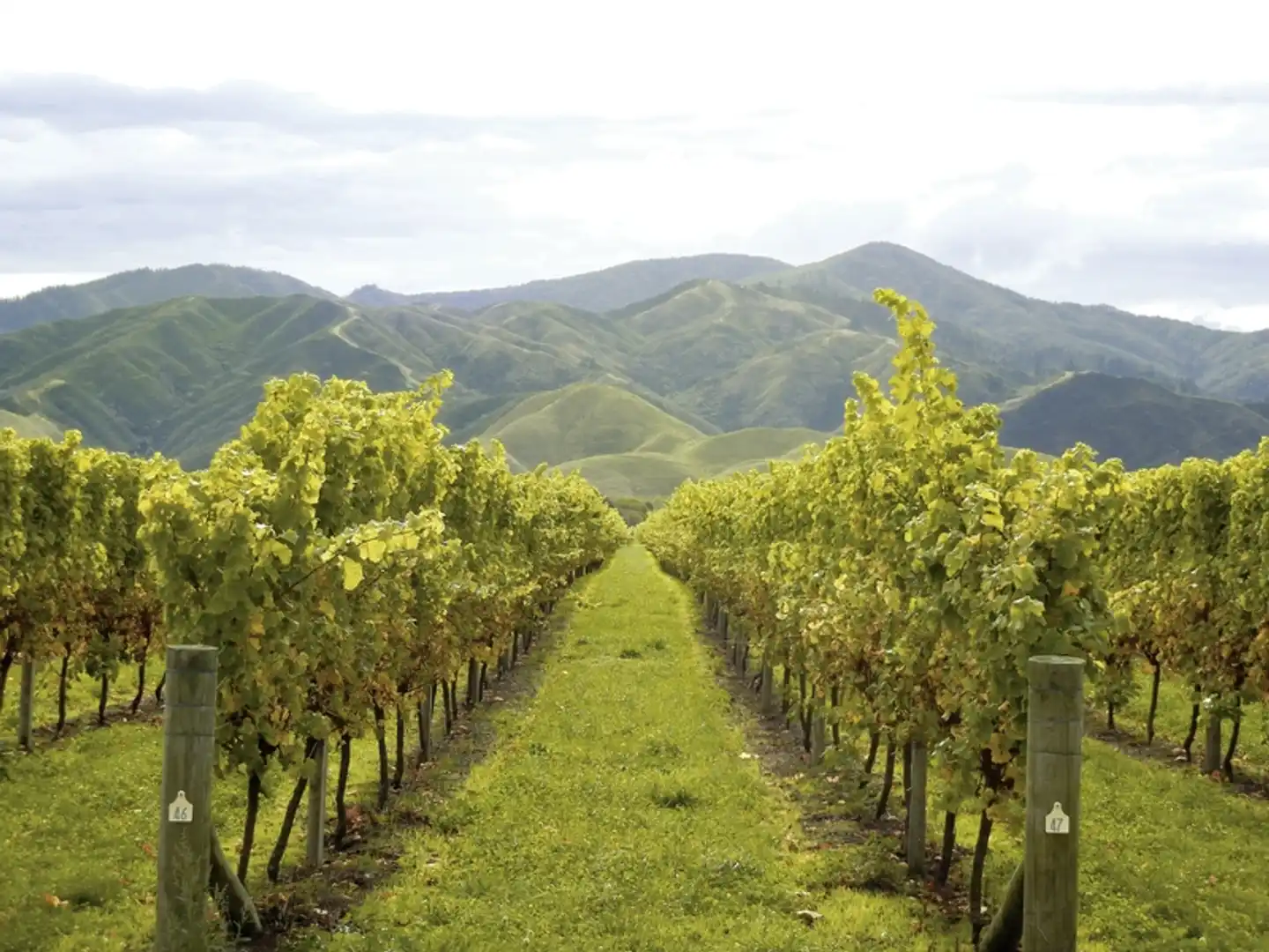 Neu(see)land entdecken (Christchurch - Auckland) Landschaft