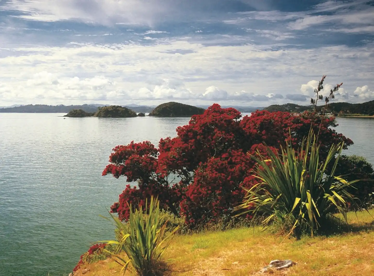 Klassische Neuseeland Rundreise Landschaft