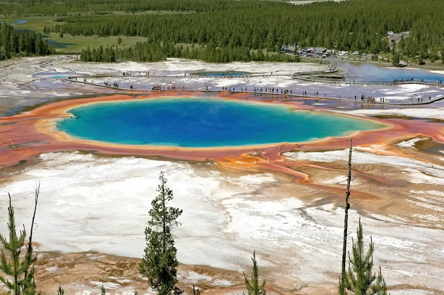 Vom Yellowstone zum Grand Canyon Strand