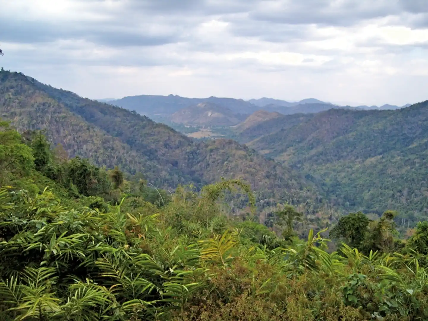 Khao Yai Nationalpark Landschaft