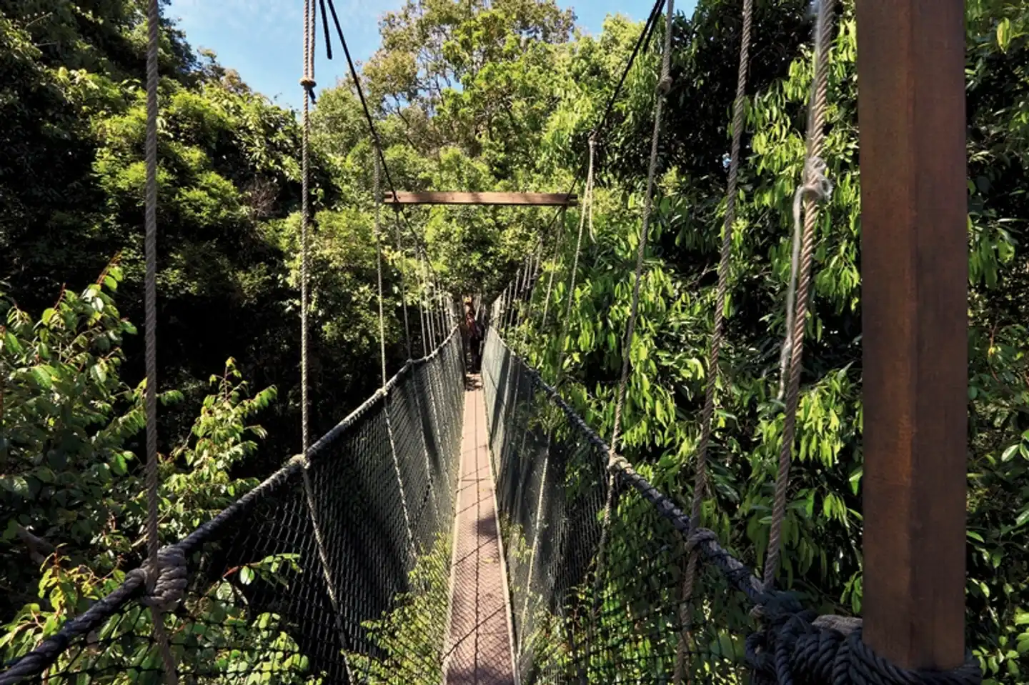 Taman Negara (2 Nächte) Landschaft