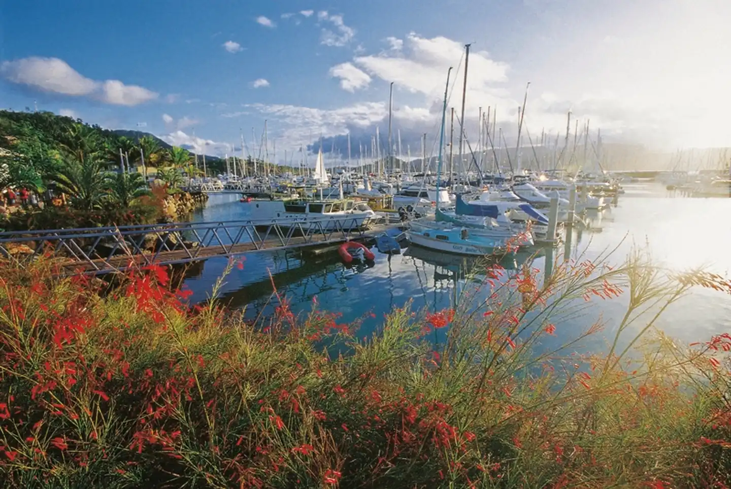 Segelabenteuer durch die Whitsunday Islands Landschaft