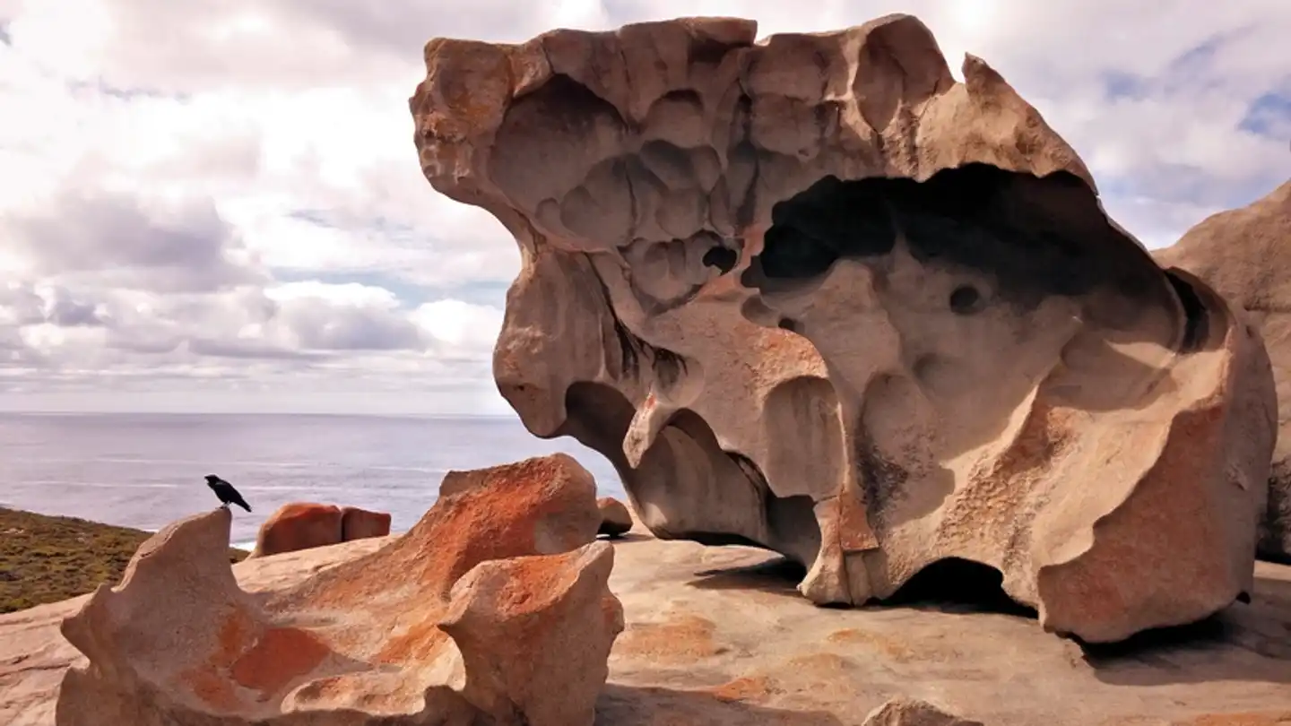 Great Ocean Road & Barossa Valley Tiere