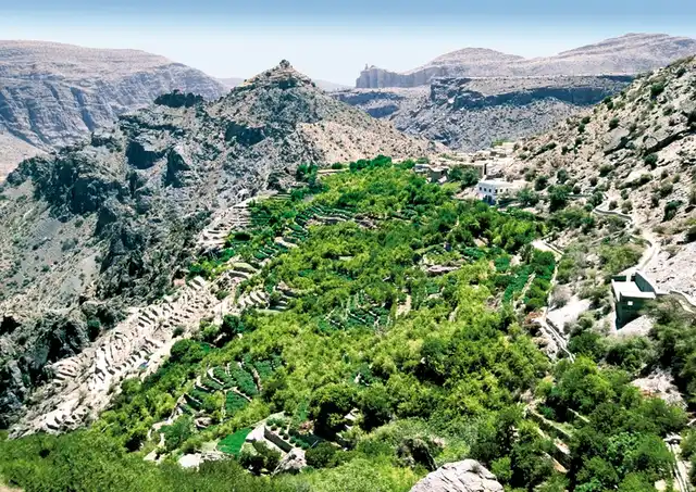 Arabische Kontraste: Unterwegs von Muscat nach Dubai Landschaft